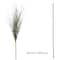 Tall Green Grass Stem by Ashland®